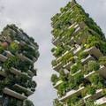 Vrtovi budućnosti: Vertikalna sadnja sve prisutnija u velikim gradovima čineći ih ugodnijima