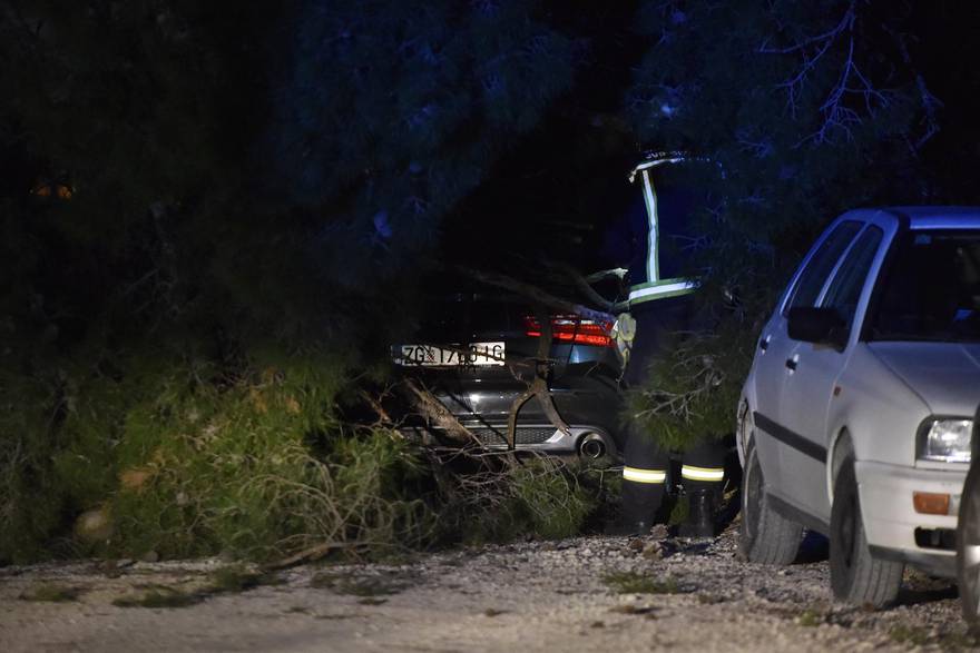 Šibenik: Vatrogasci s vozila uklanjaju stabla koja je srušila jaka bura