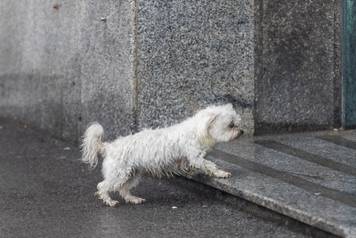 Ki&scaron;ovito vrijeme u Zagrebu