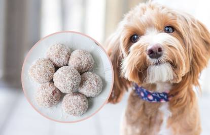 Počastite i psa za Valentinovo: Recept za zdrave i fine kuglice od jogurta gotove za 10 minuta