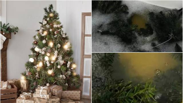 Biste li ovo ikad napravili? Žena pere svoje božićno drvce u kadi