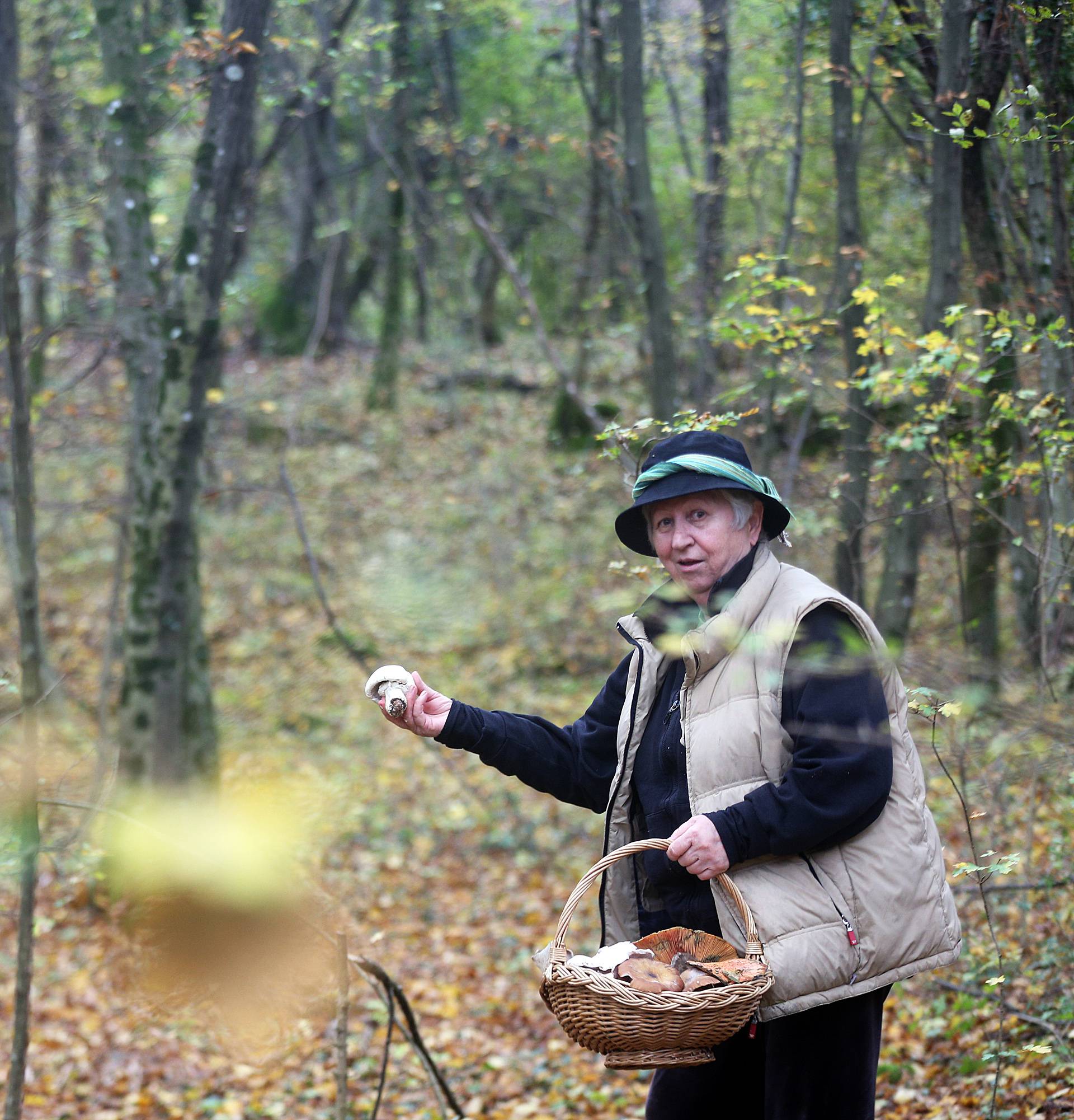 'Gljive mogu biti kobne. Spasila sam već najmanje 40 života... '