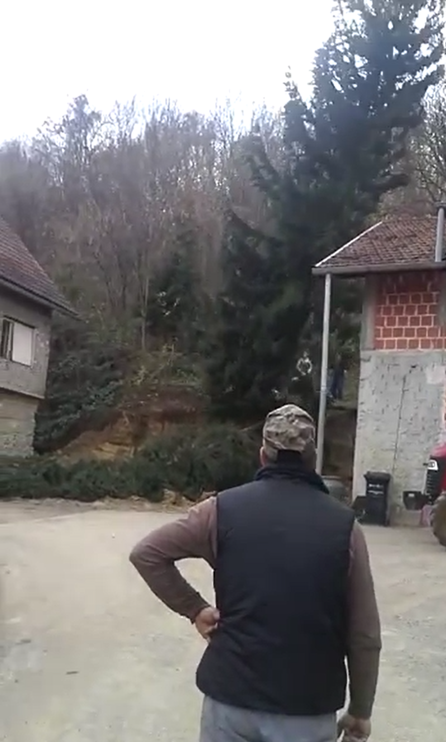 'Jesam ti rekel': Prijatelj rušio stablo i srušio mu ga na kuću!