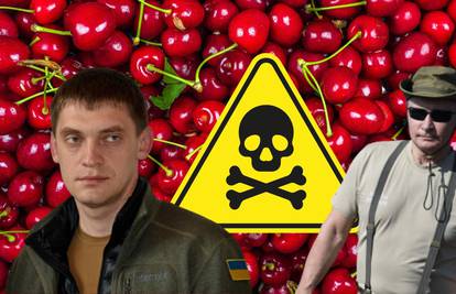 Trešnje rata: 'Ukrajinski farmeri su otrovali voće, ruski vojnici ga ukrali, pojeli, pa oboljeli...'