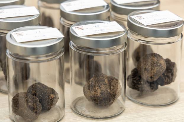 Održani Dani Zigante tartufa u Livadama