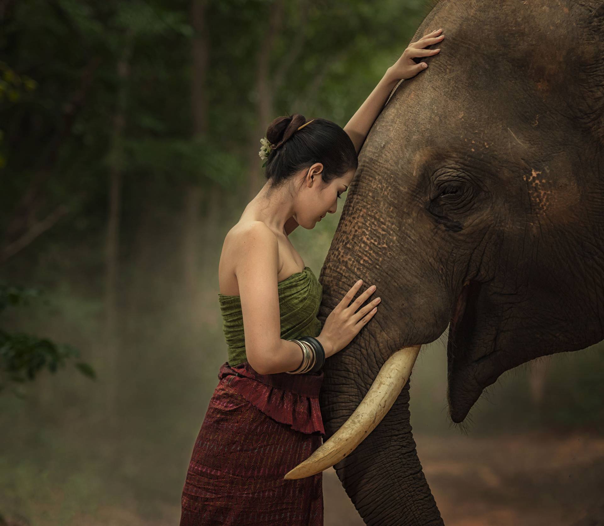 Donosi sreću: Rijedak bijeli slon rođen je u zapadnom Mjanmaru