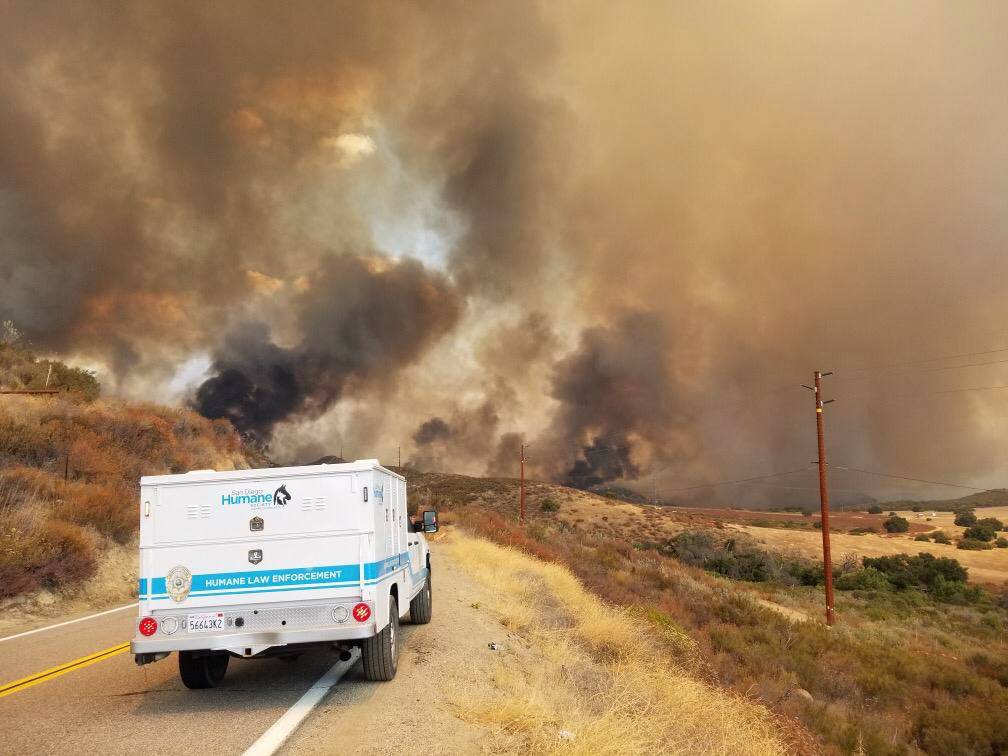A vehicle of the San Diego Humane Society's Emergency Response Team is seen on a road amid the Valley Fire in San Diego county, California