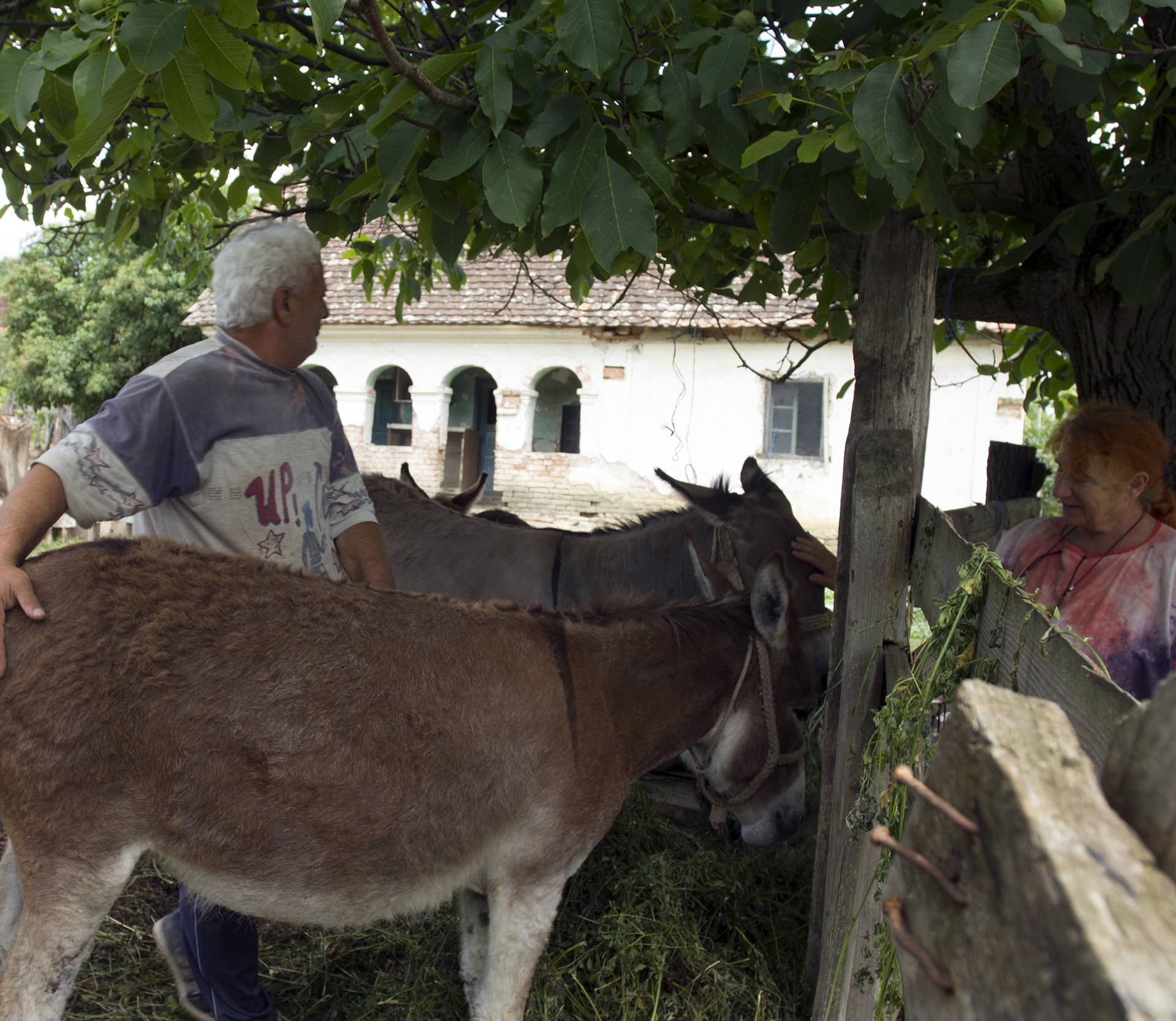 Dobili su novu cestu do sela, ali što to vrijedi kad su ljudi otišli