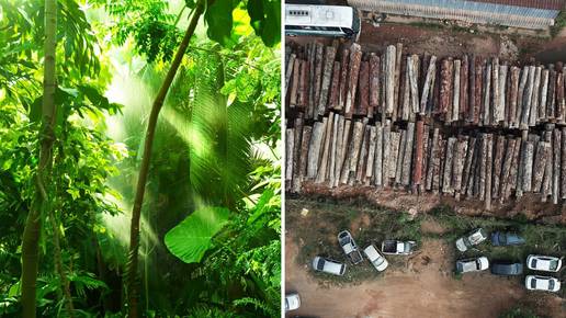 Surova realnost: Uništavanje amazonske prašume ubrzava se već drugi mjesec za redom