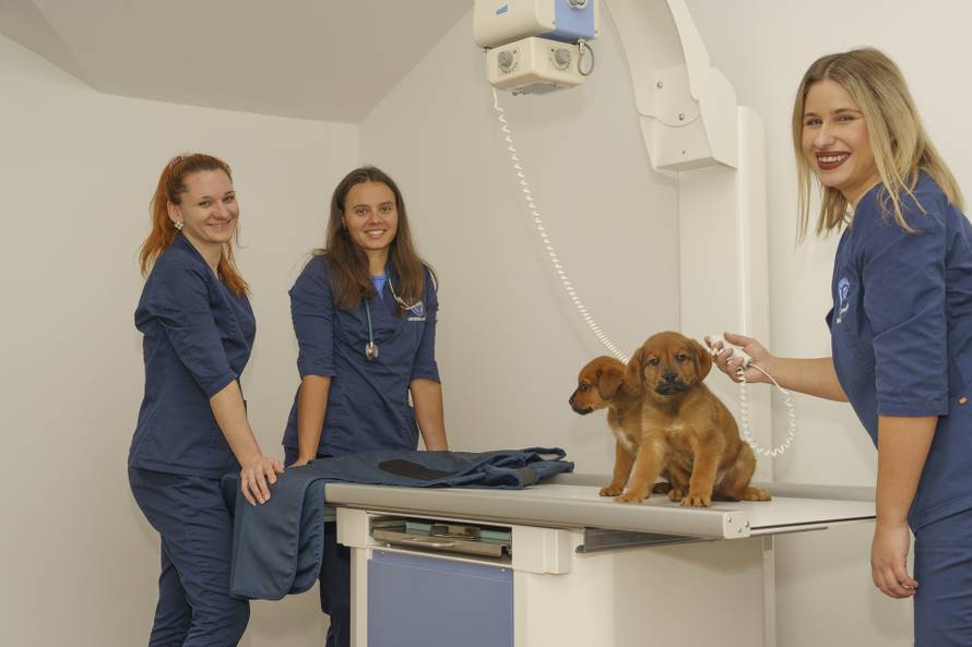 Hitna pomoć, RTG, kirurgija i dežurstvo 0-24 – evo gdje ljubimci imaju potpunu njegu