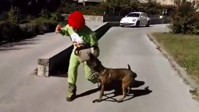 Video: Klaun htio prestrašiti psa, ali namjerio se na krivog