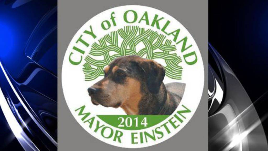 Einstein for Oakland