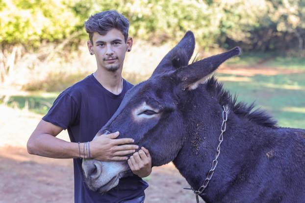 Vodnjan: Za Naj kozu 2025. godine izabrana je koza Jelena, vlasnika Mattea Muškovića 