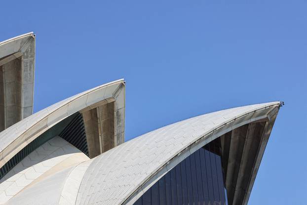 An exterior view of the Sydney Opera House