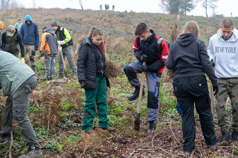 U godinu dana projekta Co2mpensating by planting posađeno preko 75,000 sadnica