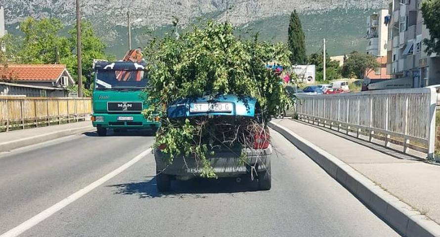 Urnebesna snimka iz Splita: 'Što je ovo?! Zeleni Opel? Grane su virile svuda, vozio je centrom'