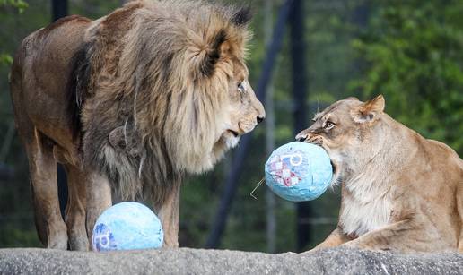 FOTO Životinje u zagrebačkom ZOO razveselili su pisanicama