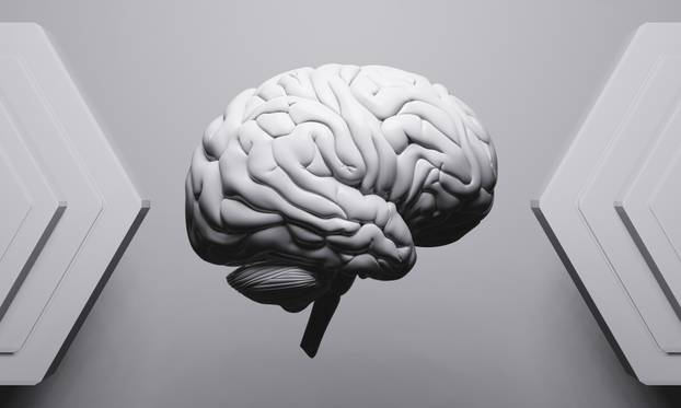 Najpametniji na svijetu: 50 ljudi s najvećim IQ rezultatom ikad