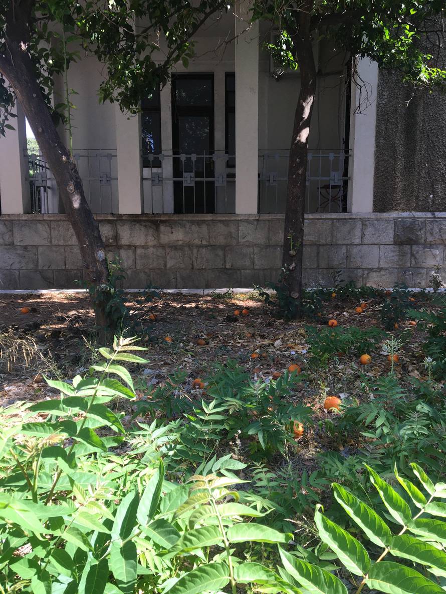 Kerumov program je: Vatajte se motike, ajmo ća zaorat polje... A raštika mu je zarasla u korov