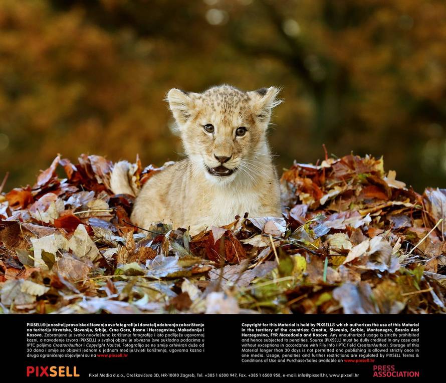 Press Association/Pixsell