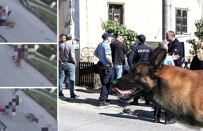 Pas ih izgrizao pred školom: 'Majka je bila u šoku i vrištala. Brzo sam odvukla dijete...'