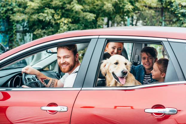 Beautiful,Young,Family,Travelling,By,Car,With,Dog