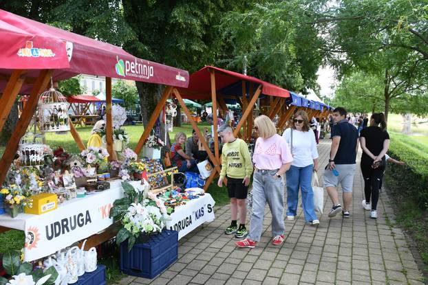 Sisak: Obilježavanje Dana Sisačko-moslavačke županije