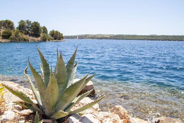 24sata Zadar: Vikendica Dominika Livakovića