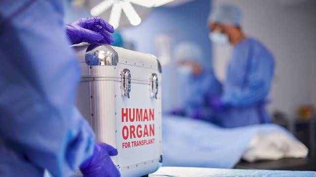 KBC Zagreb: Od početka 2023. su transplantirana 54 solidna organa, najviše bubrega...