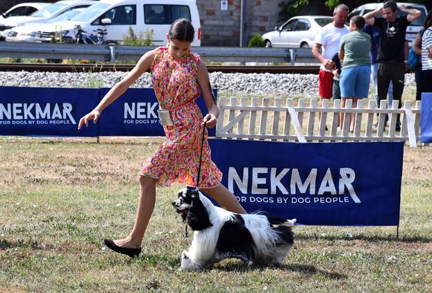 Požega: Nacionalna izložba pasa "CAC Požega 2024."