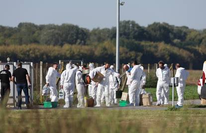 Ministarstvo za 24sata: Analiza je gotova, ne znamo kako je ASK ušla na farmu u Baranji...