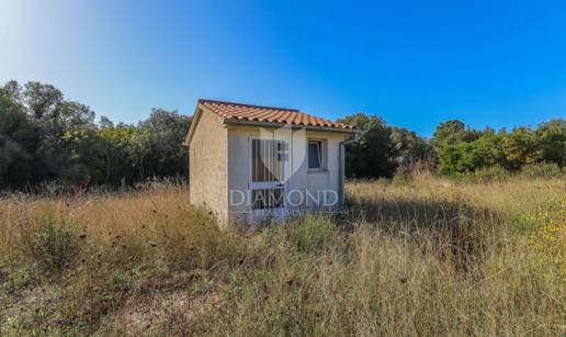 FOTO Pogledajte ovu kućicu u Rovinju za 250.000 €! Ima 15 kvadrata, kažu da je blizu mora