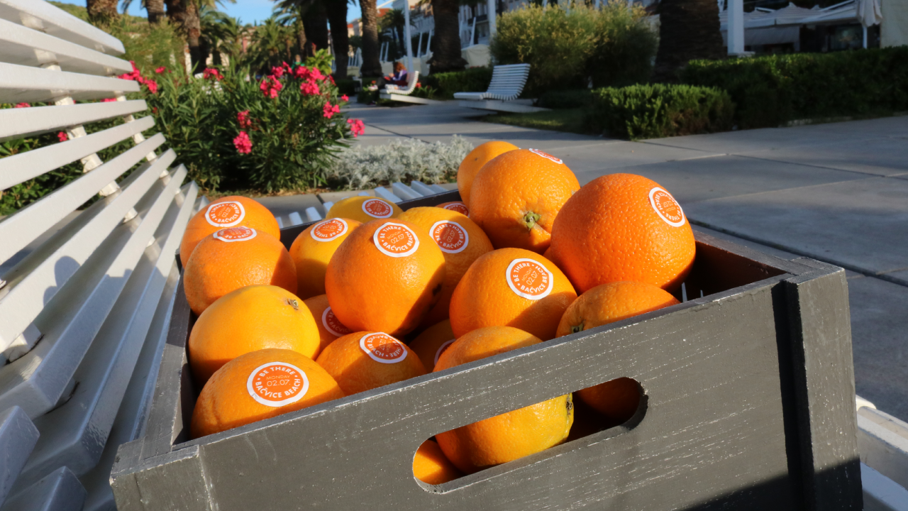 Invazija misterioznih naranči u Splitu!