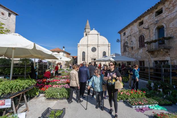 Svetivinčenat: Fešta od Rožic