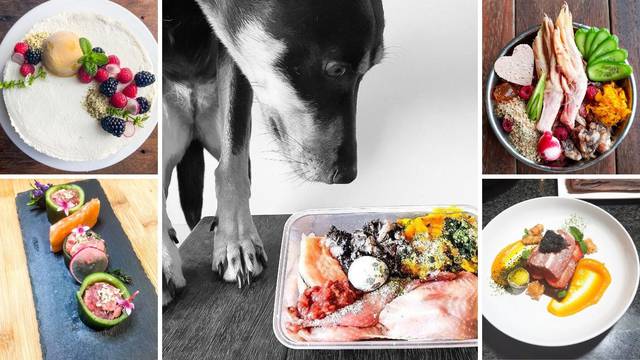 Njegovi psi jedu kao kraljevi: Svaki dan im priprema obroke