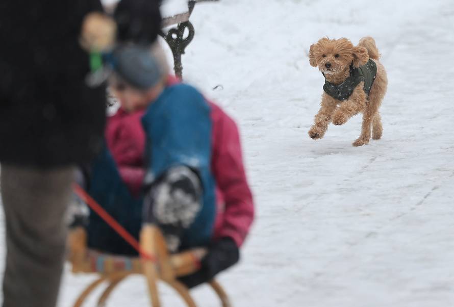 Zagreb: Maksimir, jedno od omiljenih mjesta za sanjkanje, grudanje ili šetnju po snijegu