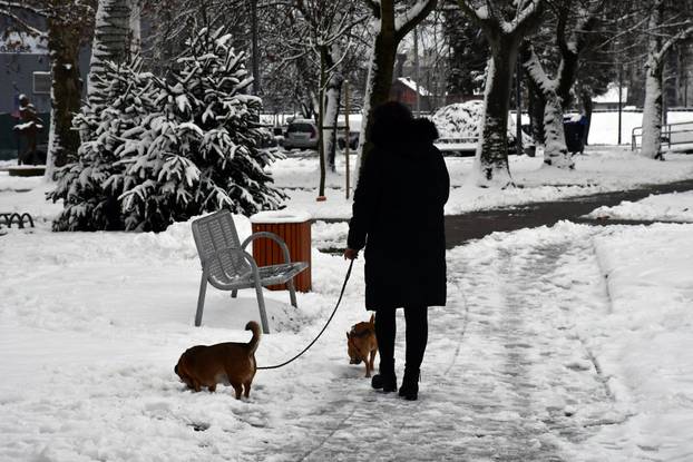 Prava zimska idila na ulicama Slavonskog Broda