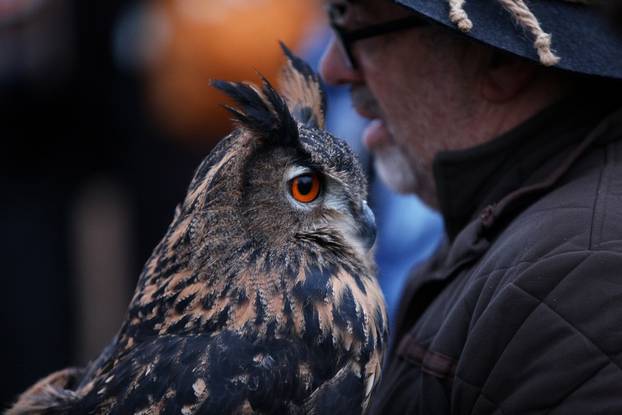 Zagreb: Lovački Advent na Tuškancu