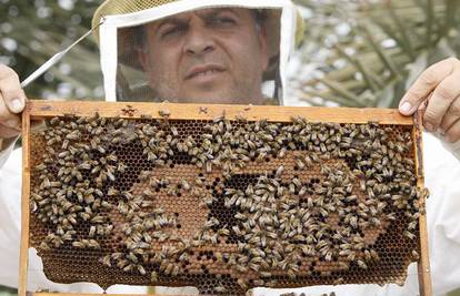U Jordanu spašavaju pčele novim metodama uzgoja 
