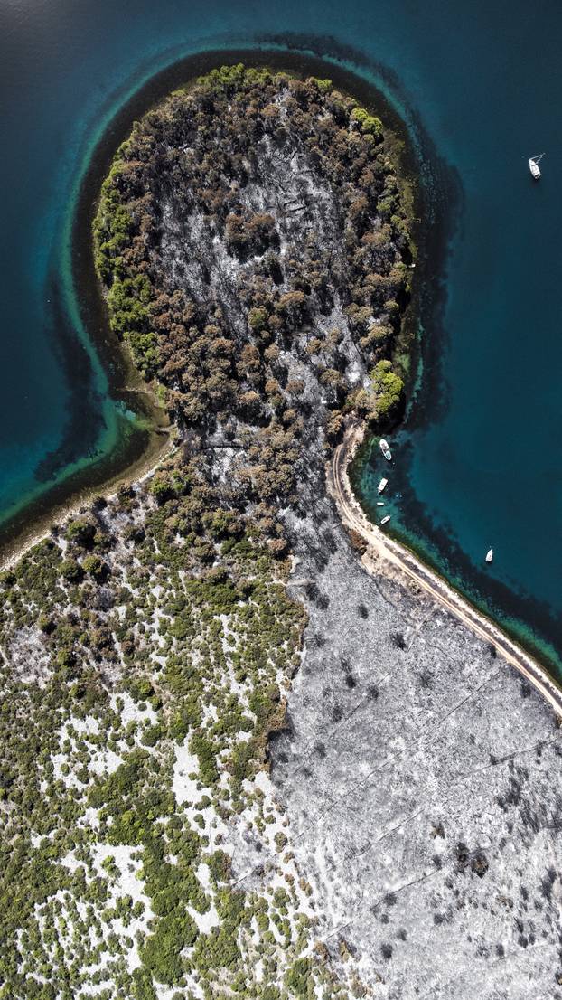 Zaton: Nakon požara poluotok neodoljivo podsjeća na portret čovjeka