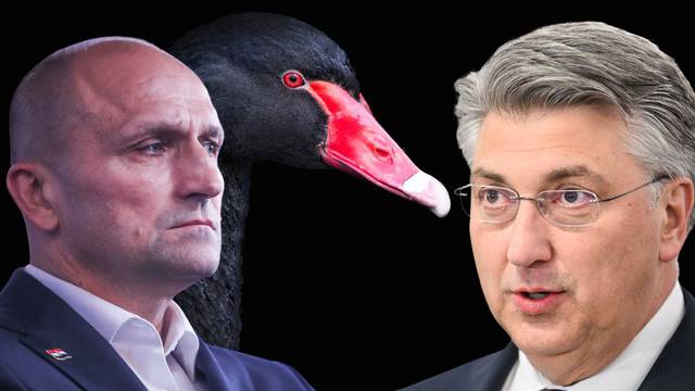 Preferencijalna mina u HDZ-u, kao crni labud: 7406 glasova za Ačkara išlo je u korist Anušiću?