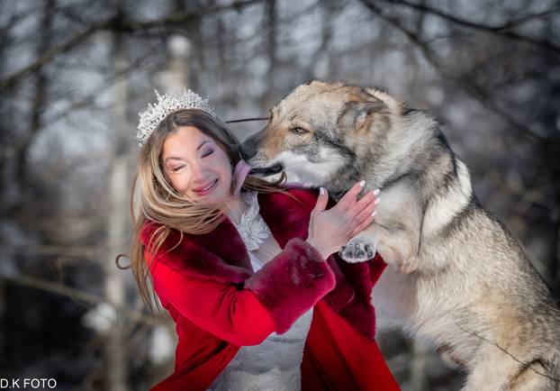 GALERIJA Nastali su od vukova, rođaci su Nazgula s Olimpijskih igara i žive kraj Velike Gorice!