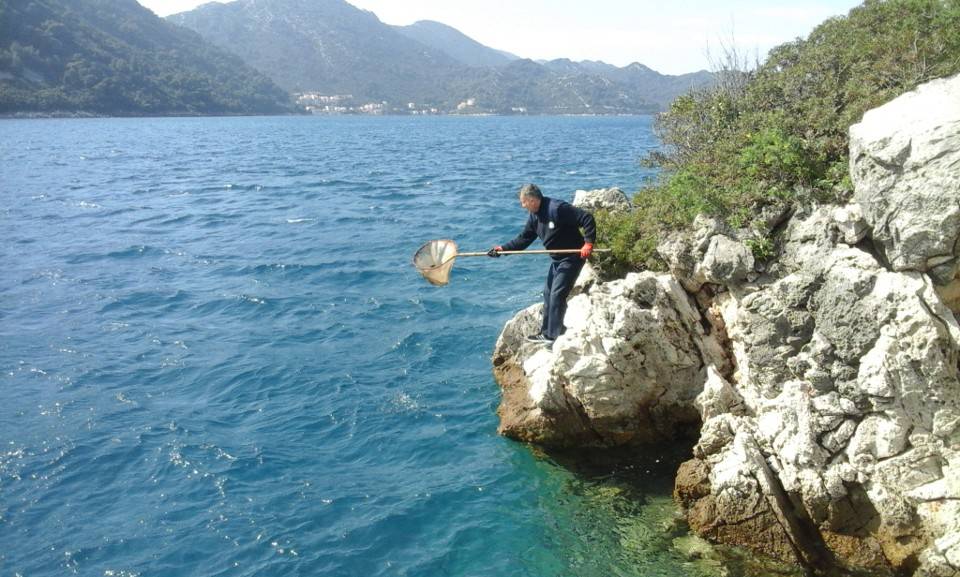 Prijatelj stradalog kormilara na trajektu Lastovo: 'Gledam naše slike danima, rasplakao sam se'