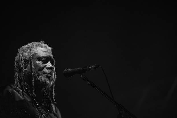 Zagreb: Massive Attack nastupio je na zadnjem danu 17. INMusic festivala