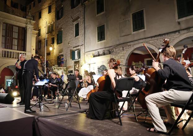 Šibenik: Ro?endan Arsena Dedi?a obilježen koncertom Gradskog komornog orkestra