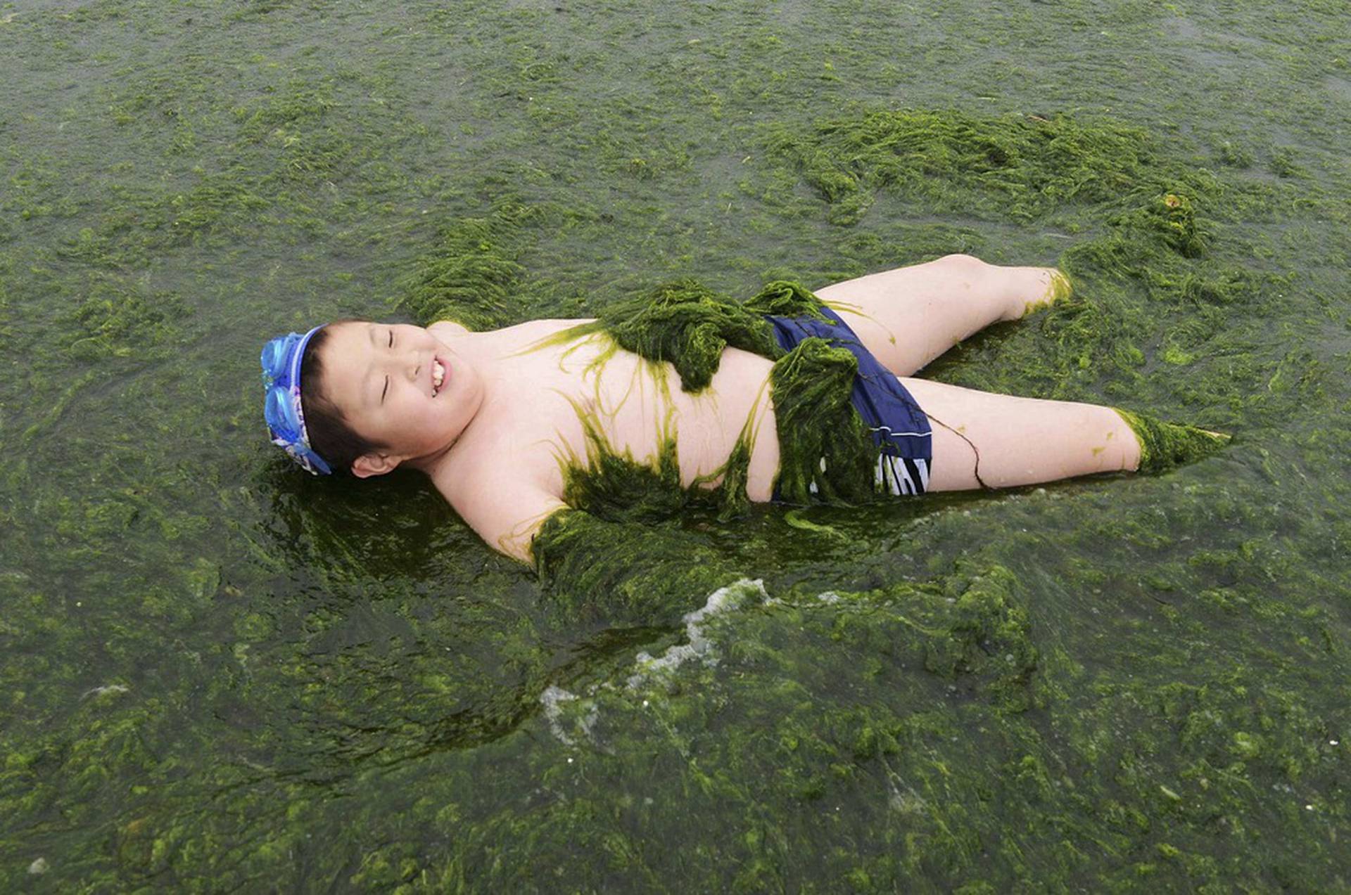 Зеленый купаться