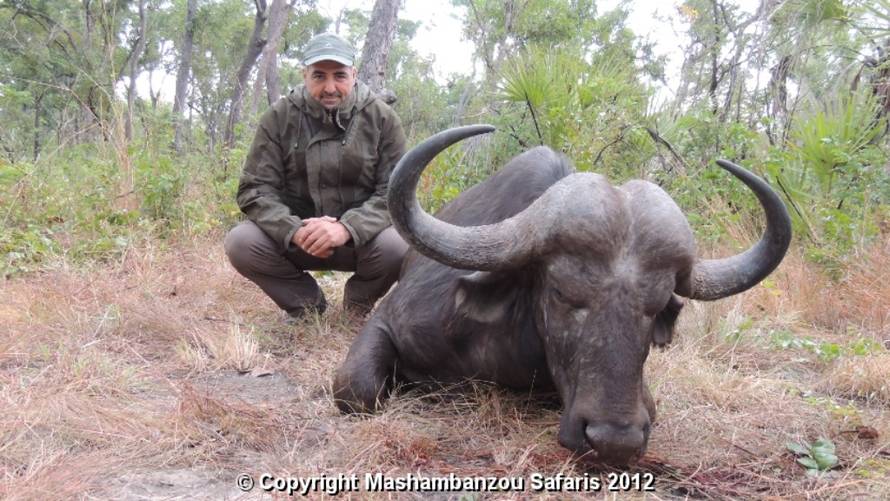 Mashambanzousafaris.com