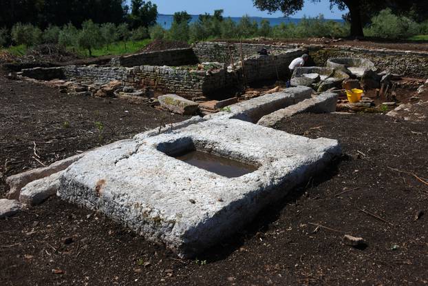 Barbariga: Kraj Barbarige otkriveni ostaci impozantne anticke uljare