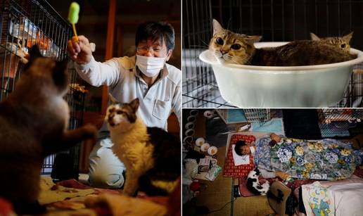 Sakae je ostao spa&scaron;avati ma&ccaron;ke u Fuku&scaron;imi: Kad se pobrinem za posljednju, mogu i umrijeti