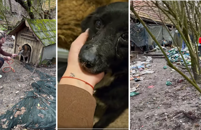 Horor kod Zagreba, pse držali u groznim uvjetima. Uhitili ženu (47): Našli smo leševe životinja